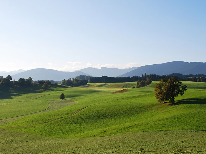 Farming Surveying Solutions