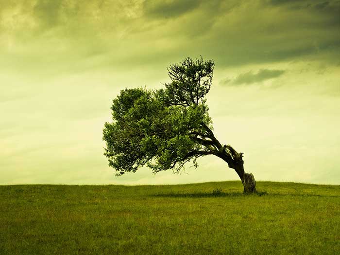 Queenstown Resource Management